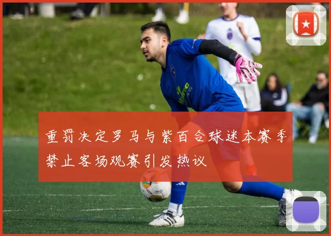 重罚决定罗马与紫百合球迷本赛季禁止客场观赛引发热议
