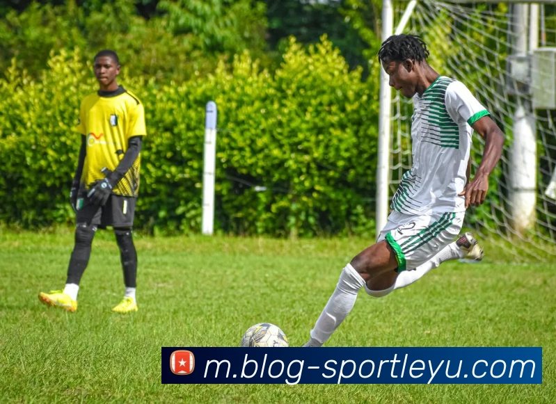 乐鱼体育发展历程