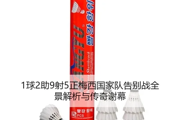 1球2助9射5正梅西国家队告别战全景解析与传奇谢幕（Leyu）